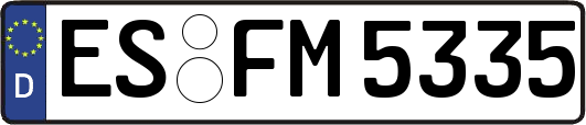 ES-FM5335