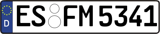 ES-FM5341