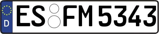 ES-FM5343