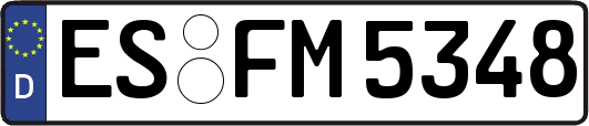 ES-FM5348