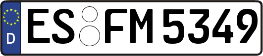 ES-FM5349