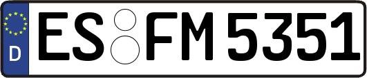 ES-FM5351