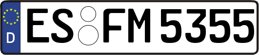 ES-FM5355