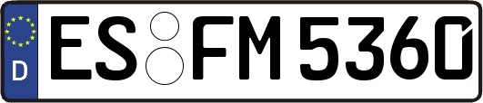 ES-FM5360