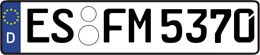 ES-FM5370