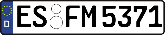 ES-FM5371