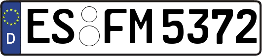 ES-FM5372