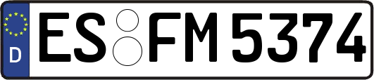 ES-FM5374