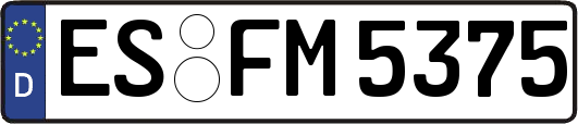 ES-FM5375