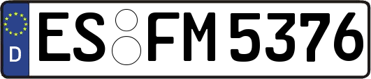 ES-FM5376