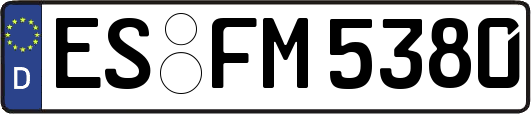 ES-FM5380
