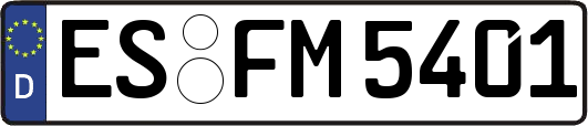 ES-FM5401
