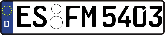 ES-FM5403
