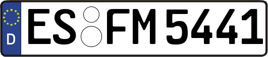 ES-FM5441