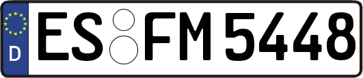 ES-FM5448