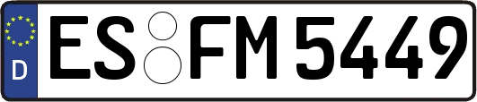 ES-FM5449