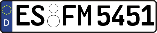 ES-FM5451