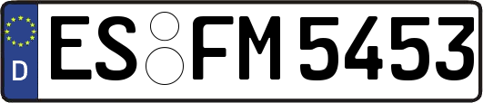 ES-FM5453