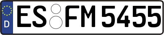 ES-FM5455