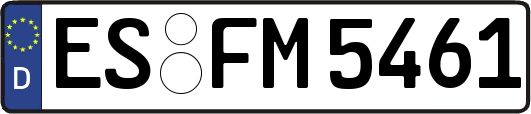 ES-FM5461