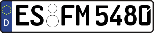 ES-FM5480