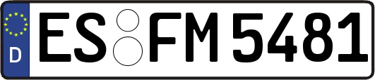 ES-FM5481