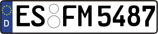 ES-FM5487