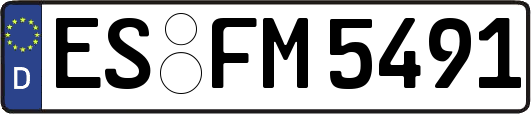 ES-FM5491