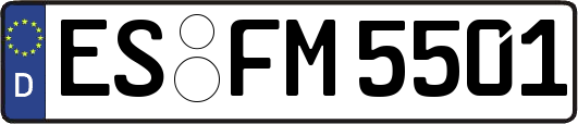 ES-FM5501