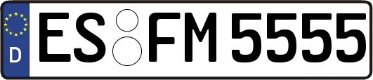 ES-FM5555