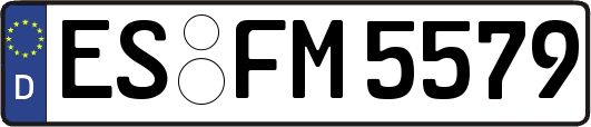 ES-FM5579