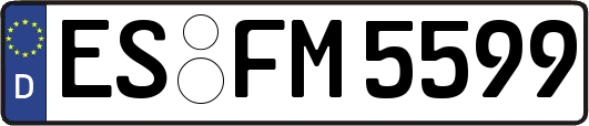 ES-FM5599