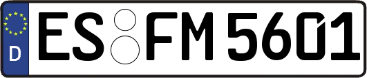 ES-FM5601