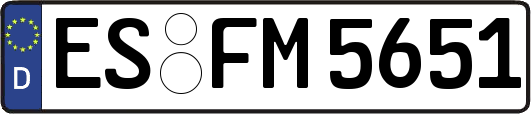 ES-FM5651