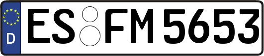 ES-FM5653