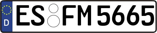 ES-FM5665
