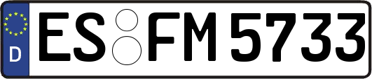 ES-FM5733