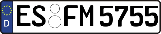 ES-FM5755