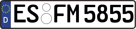 ES-FM5855