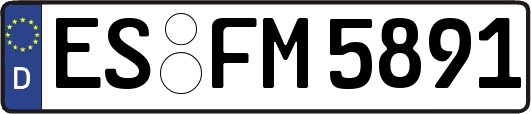 ES-FM5891