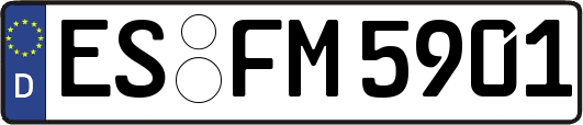 ES-FM5901