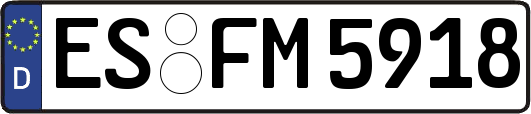 ES-FM5918