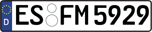ES-FM5929