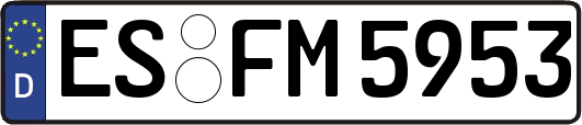 ES-FM5953