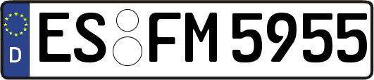 ES-FM5955