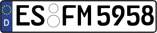 ES-FM5958