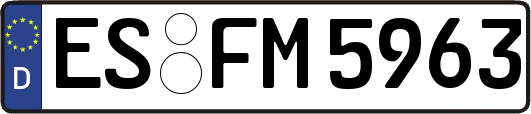 ES-FM5963