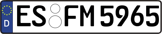 ES-FM5965