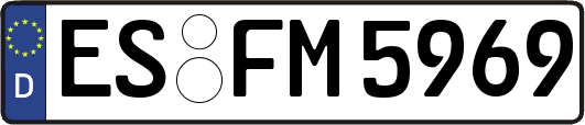 ES-FM5969