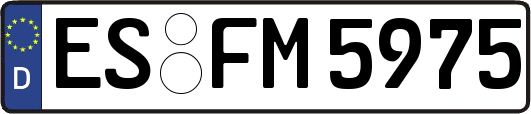 ES-FM5975